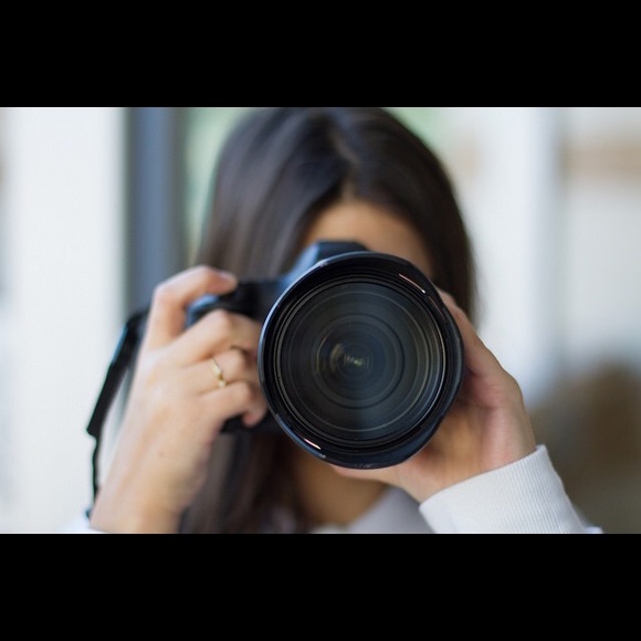 Meet your Posher, Zippy - Picture 1 of 1